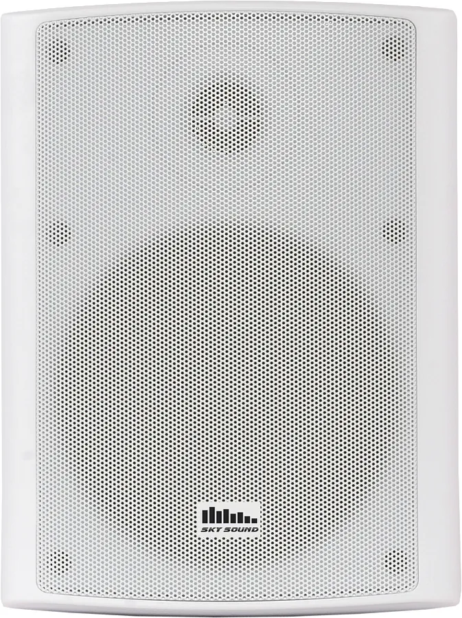 Акустический комплект - Sky Sound WIFI BOX-3002