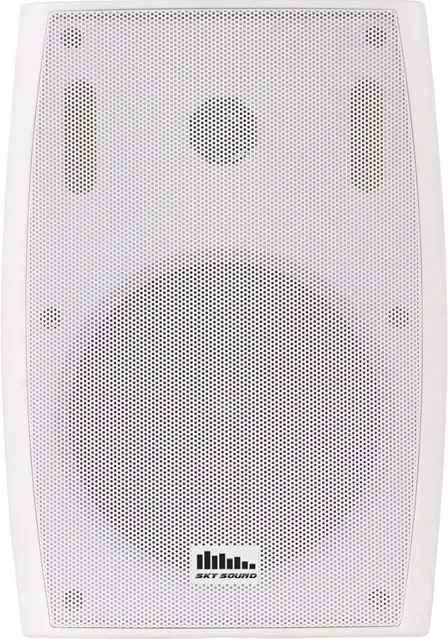 Настенная акустика - Sky Sound LS-45W-TW