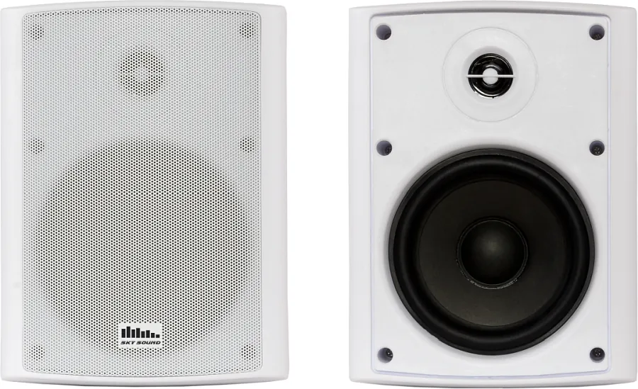 Настенная акустика - Sky Sound NS-30W-TW
