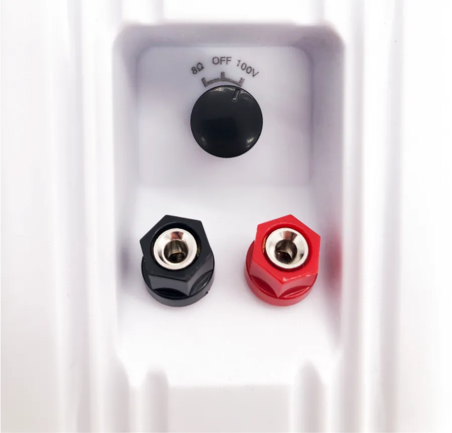 Настенная акустика - Sky Sound NS-30W-TW