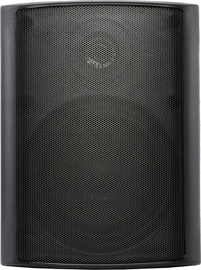Настенная акустика - Sky Sound NS-40B-TB