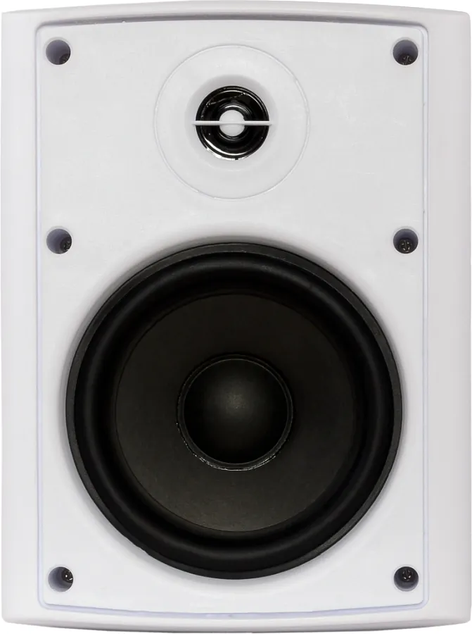 Настенная акустика - Sky Sound NS-40W-TW