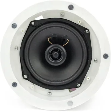 Потолочный динамик - Sky Sound TM-701W