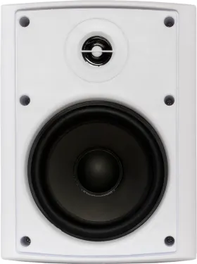 Настенная акустика - Sky Sound NS-30W-TW