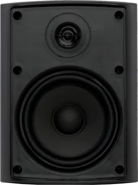 Настенная акустика - Sky Sound NS-40B-TB