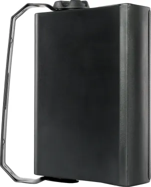 Настенная акустика - Sky Sound NS-40B-TB