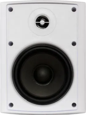 Настенная акустика - Sky Sound NS-40W-TW