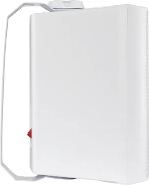 Настенная акустика - Sky Sound NS-40W-TW
