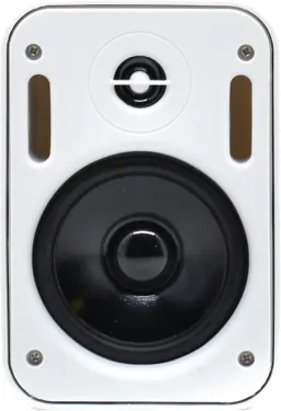 Настенная акустика - Sky Sound PM-2401W-TW