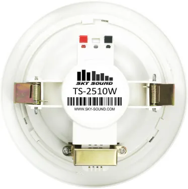 Вбудовуваний динамік - Sky Sound TS-2510W