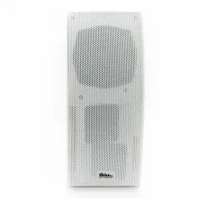 Настенная акустика - Sky Sound PM-5000TW