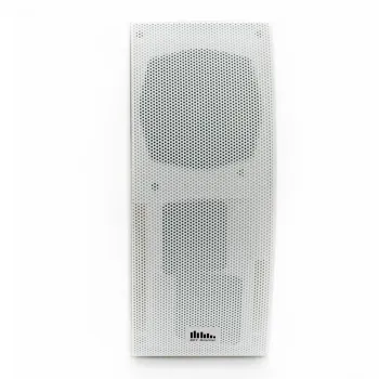 Настенная акустика - Sky Sound PM-5000TW